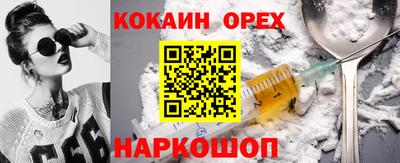 крисы Новодвинск