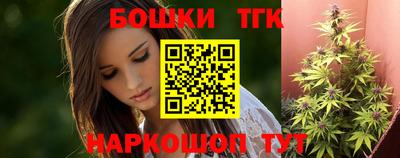 крисы Новодвинск