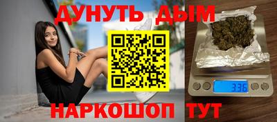 крисы Новодвинск