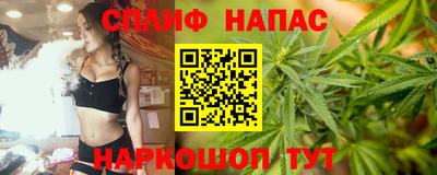 дживик Новозыбков