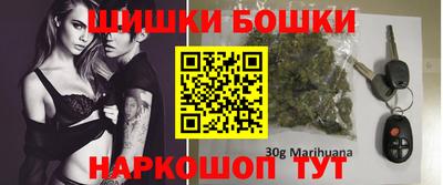 крисы Новодвинск