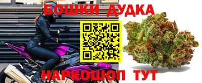 крисы Новодвинск