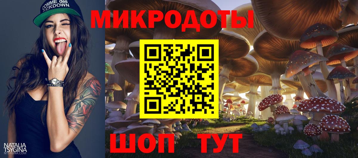 Галлюциногенные грибы Psilocybine cubensis  Вход с VPN  Родники 