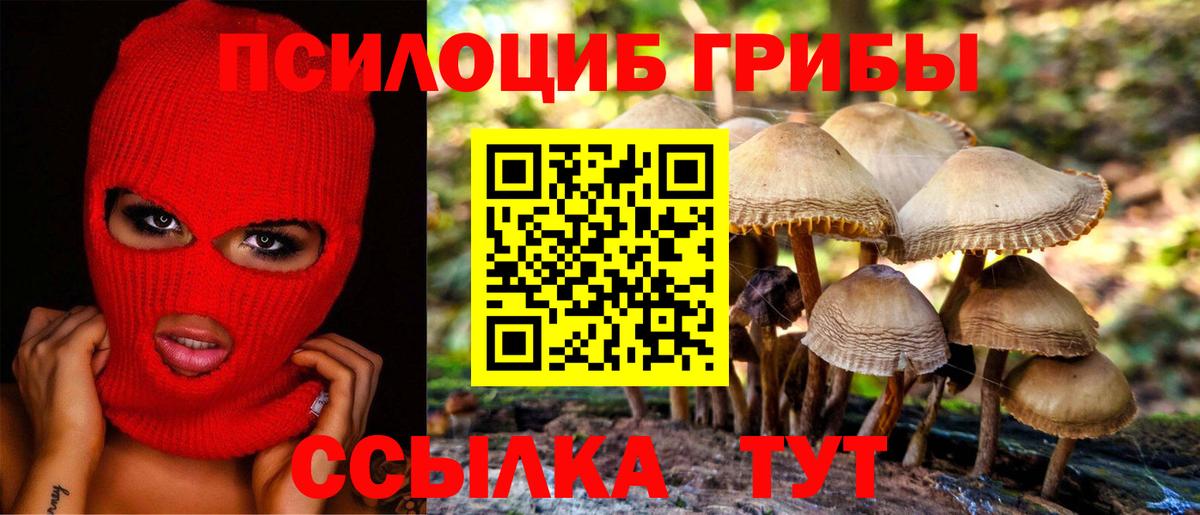 Галлюциногенные грибы Magic Shrooms Родники